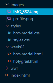 File Name Error &ndash; Case